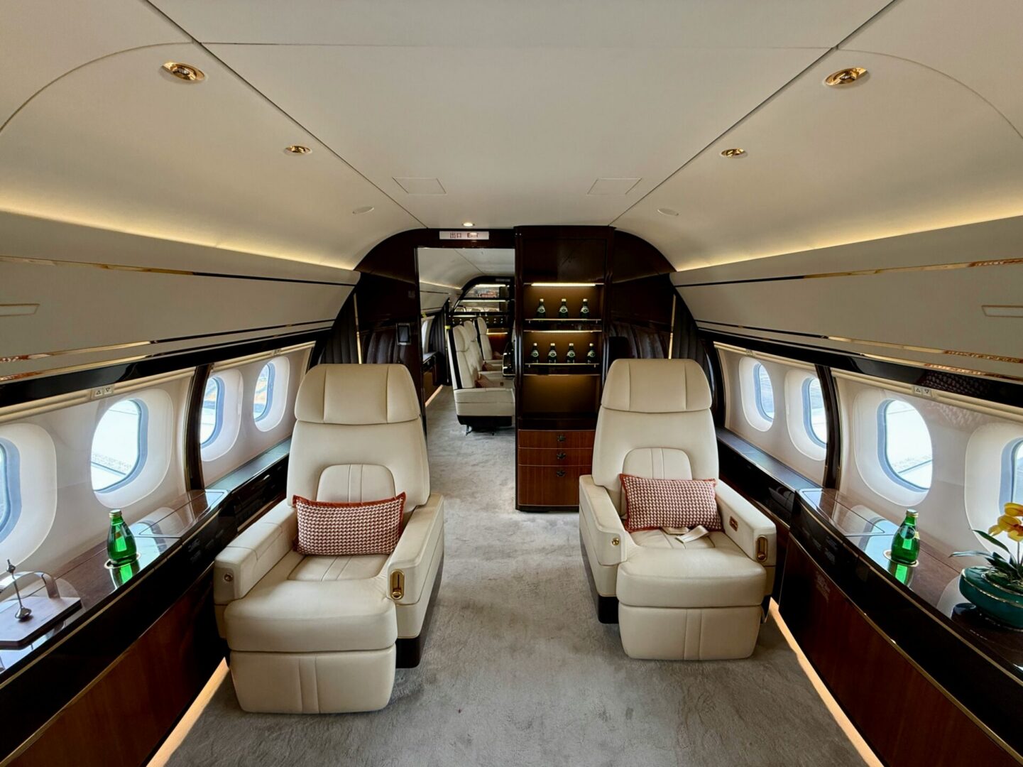 Luxury private jet interior with leather seats